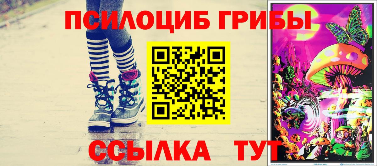 Галлюциногенные грибы Psilocybine cubensis  Вход с VPN  Кропоткин 