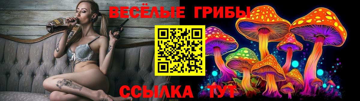Галлюциногенные грибы ЛСД Кропоткин